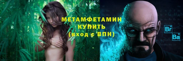 индика Ладушкин