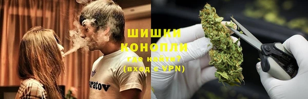 индика Ладушкин