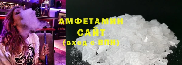 индика Ладушкин