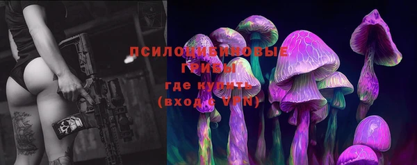 индика Ладушкин