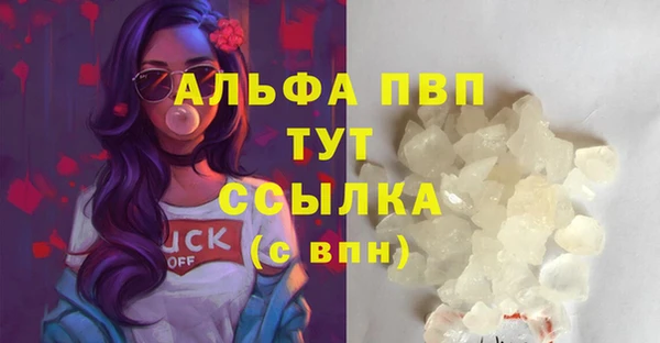индика Ладушкин