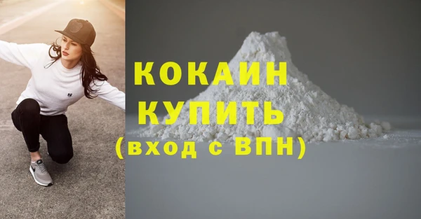 индика Ладушкин