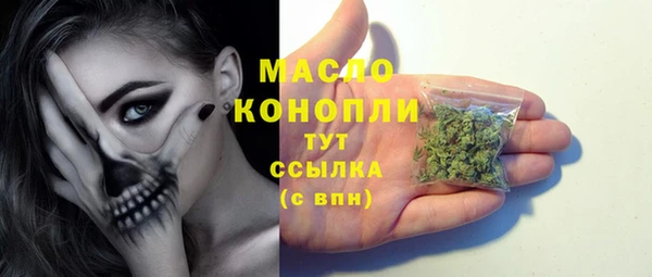 индика Ладушкин
