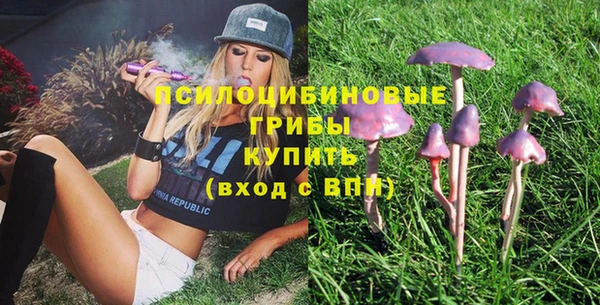 индика Ладушкин