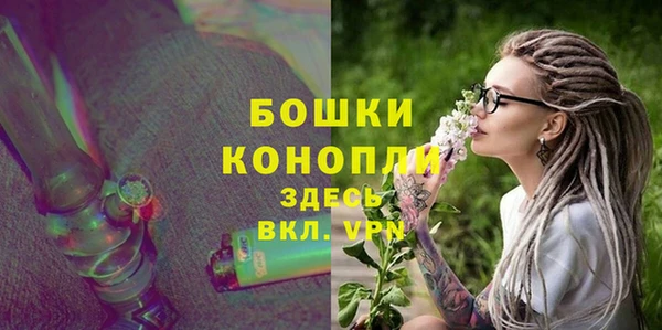 индика Ладушкин