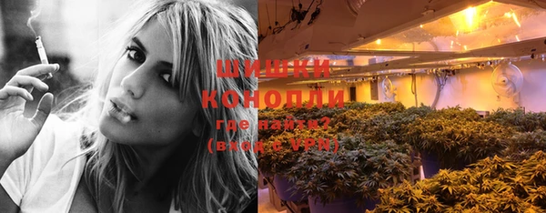 индика Куйбышев