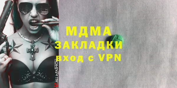индика Ладушкин