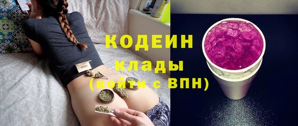 индика Куйбышев