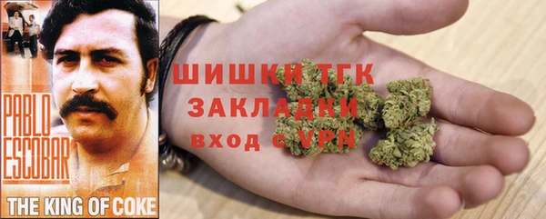 индика Ладушкин