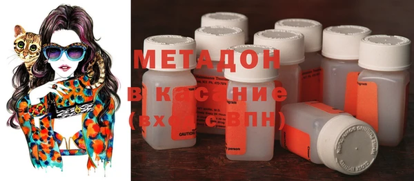 индика Ладушкин
