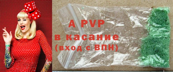 индика Ладушкин
