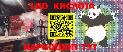 гидра Будённовск