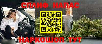 гидра Будённовск