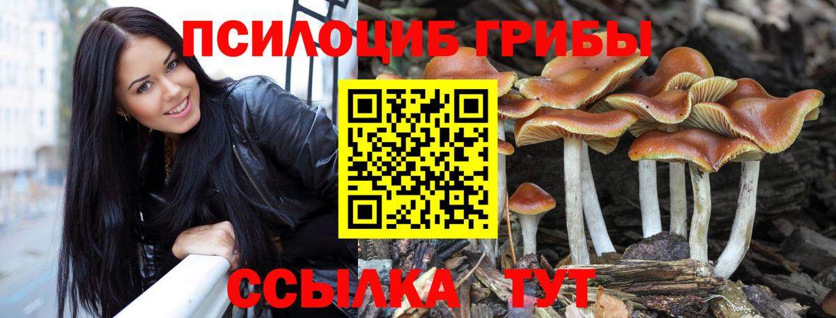 Златоуст  Галлюциногенные грибы MAGIC MUSHROOMS  Галлюциногенные грибы Cubensis  Вход с VPN 